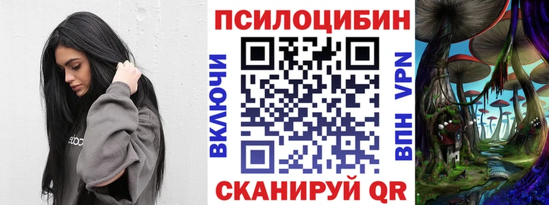 Псилоцибиновые грибы GOLDEN TEACHER  где можно купить наркотик  Лаишево 